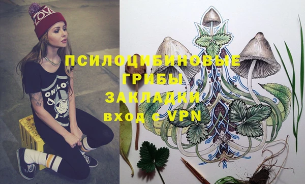не бодяженный Алексин