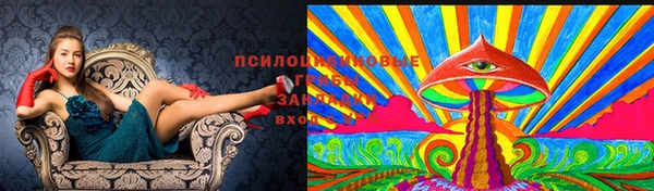 не бодяженный Алексин